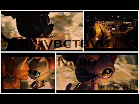 Видео: LPS:"Music Video" Или моё эпичное возвращение^(Почувствуй Мою Любовь)^