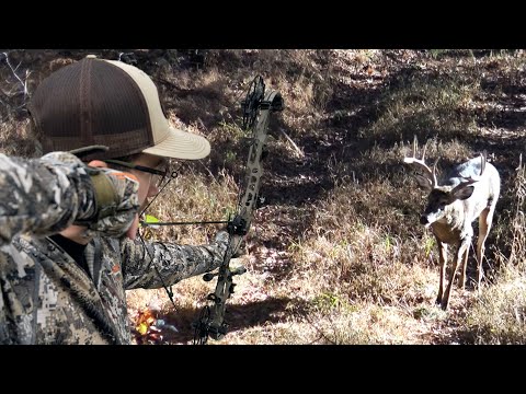 Видео: БОЛЬШОЙ УДАР СЕРДЦА С 10 ЯРДОВ - PA Rut Hunt