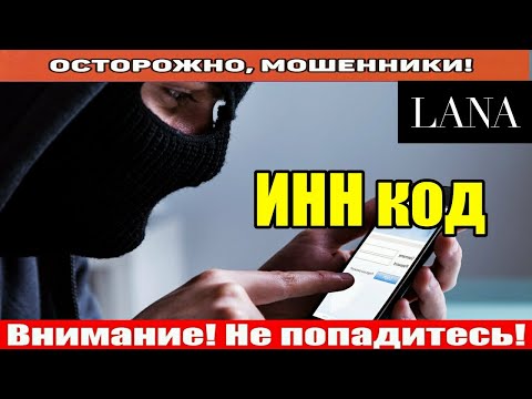 Видео: Мошенники звонят по телефону / Липовое свидетельство.