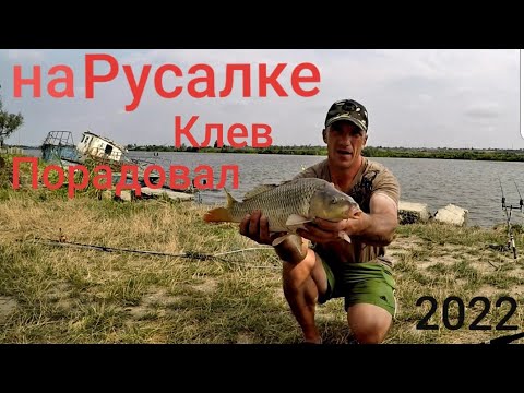 Видео: Рыбалка на Днестре/Русалка/ эксперимент удался #карпфишинг#рыбалка#отдых