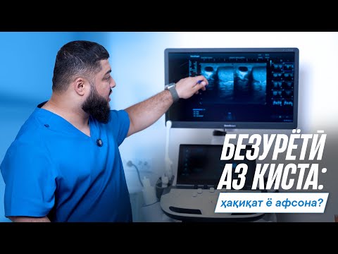 Видео: Кистаи иловаи тухмдон боиси безурётӣ мешавад?
