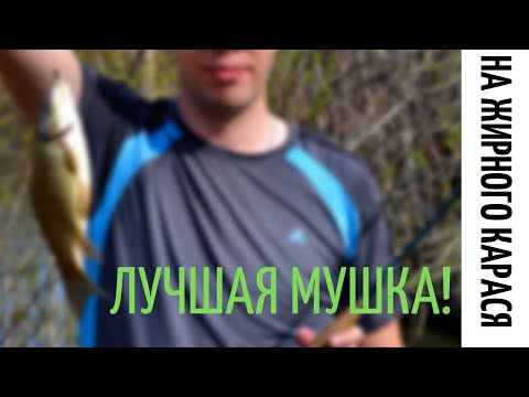 Видео: Вяжем мушки. Моя лучшая приманка на карася Нахлыстом! Flytying Bloodworm