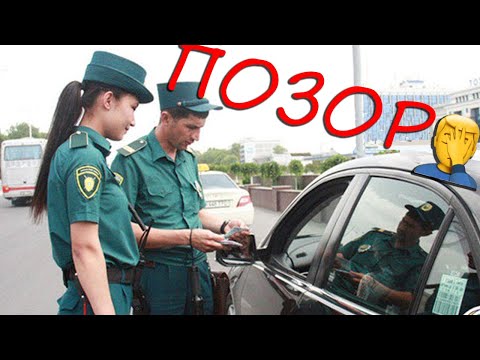 Видео: НУКУСТЫН САУАТСЫЗ ГАИЛЕРИ #каракалпакстан