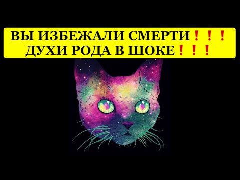 Видео: 🔥ВЫ ИЗБЕЖАЛИ СМЕРТИ❗️ДУХИ РОДА В ШОКЕ❗️❗️❗️🔥