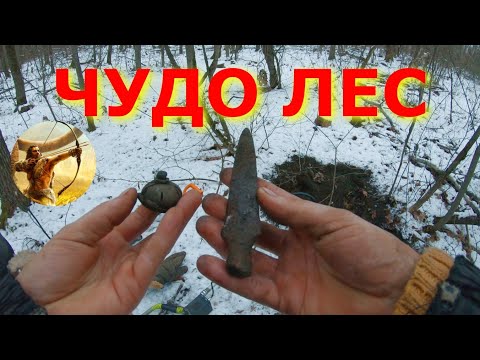 Видео: Опять в выбитый лес Находки не заканчиваются