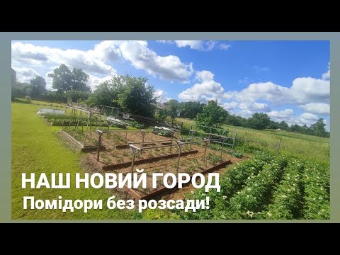 Видео: НАЙШВИДШИЙ СПОСІБ підв'язувати помідори🍅🍅🍅 Наш город в червні 2025 року