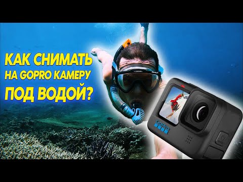 Видео: Как лучше снимать подводное видео на action камеру GoPro