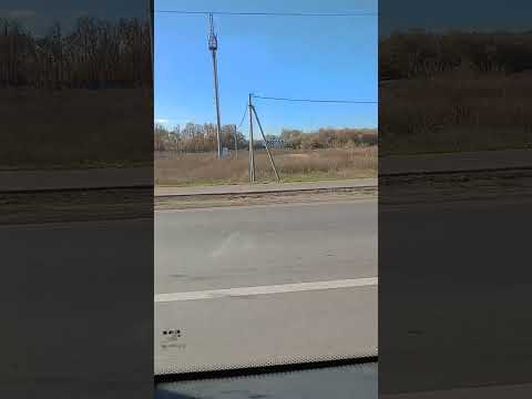 Видео: 3 октября 2025 г.