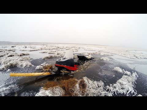 Видео: Холод пришел,буран под воду ушел.