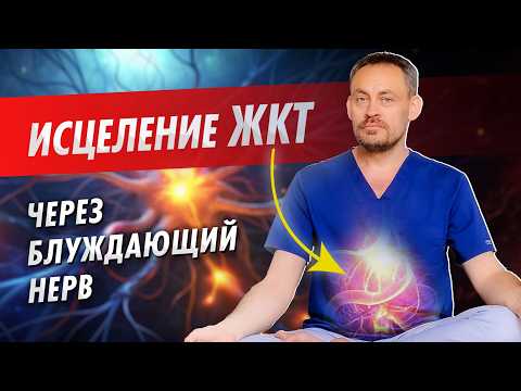 Видео: Блуждающий нерв: почему из-за него возникают проблемы с желудком и как их исправить.