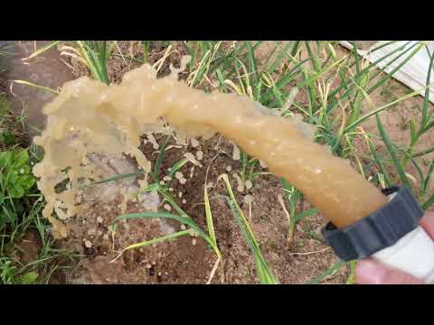 Видео: Промывка песчаного фильтра Intex.