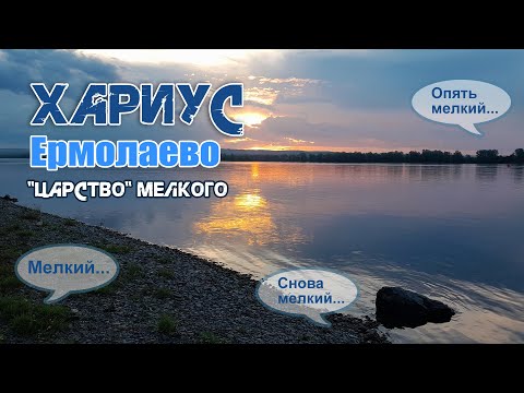 Видео: Хариус. Ермолаево - "царство" мелкого. Из дневника рыбака - 2024.