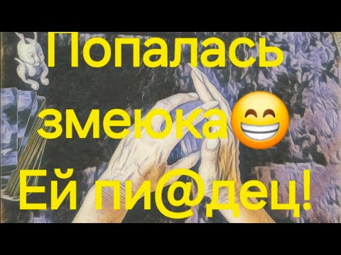Видео: Вот она-то и поганила вашу жизнь! #Предсказанияведьмы