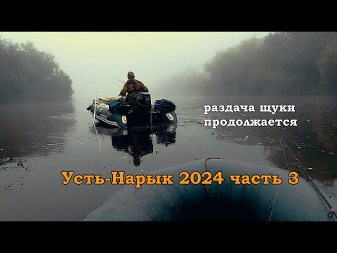 Видео: Усть-Нарык 2024 часть 3. Раздача щуки продолжается.