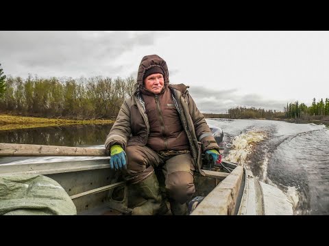 Видео: Ямал. Весенняя охота по-деревенски. Часть 2 | С полем!
