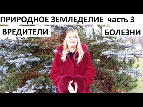 Видео: Природное земледелие часть №3 вредители и болезни.