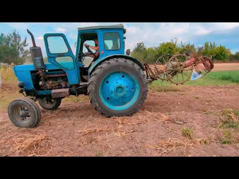 Видео: 🚜 Т-40 + кінна копалка 🐴 Копаємо картоплю по-сільському!