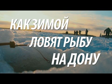 Видео: ЗИМНЯЯ ПОДЛЕДНАЯ РЫБАЛКА В ЛИПЕЦКОЙ ОБЛАСТИ НА ДОНУ