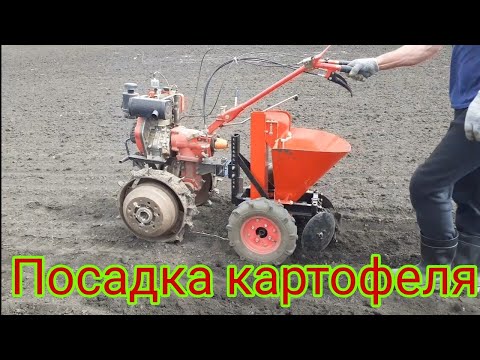 Видео: Посадка картошки ,мотоблоком с картофелесажалкой,2022год.