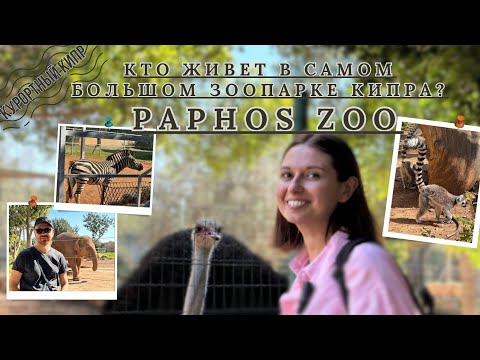 Видео: PAPHOS ZOO. САМЫЙ БОЛЬШОЙ ЗООПАРК КИПРА. ПАФОС
