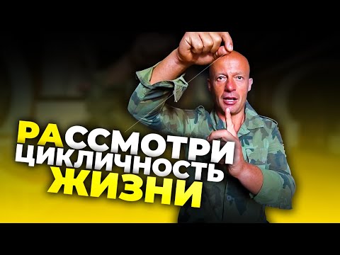 Видео: Бизнес-модель удава как способ принятия решений