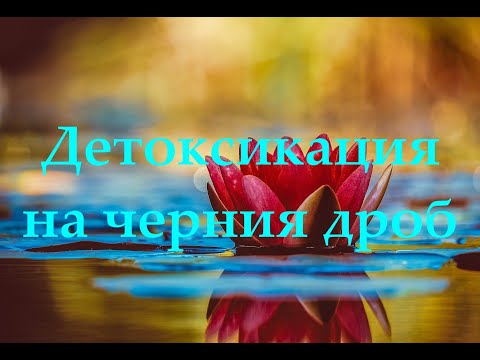 Видео: Детоксикация на черния дроб - медитация