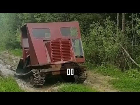 Видео: Нашёл в лесу плуг от тдт 40