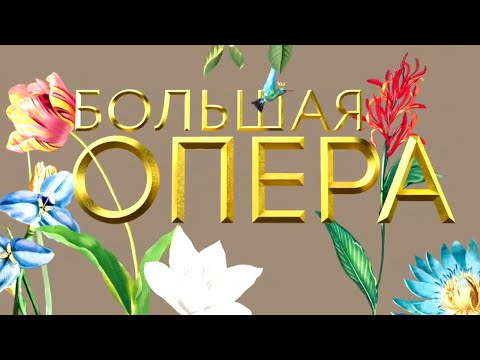 Видео: Большая опера - 2019. 6 сезон. 5 выпуск