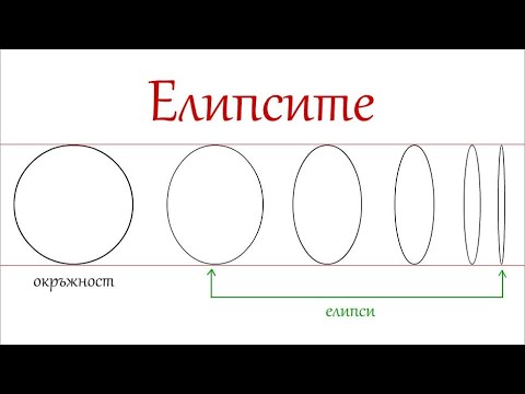 Видео: Как да рисуваме елипса/ Уроци по рисуване/ Смокини