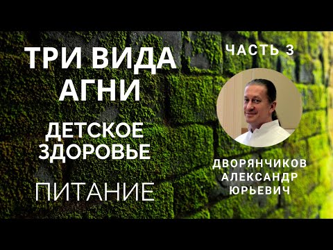 Видео: Часть 3. Детское здоровье. Питание. Три вида Агни.