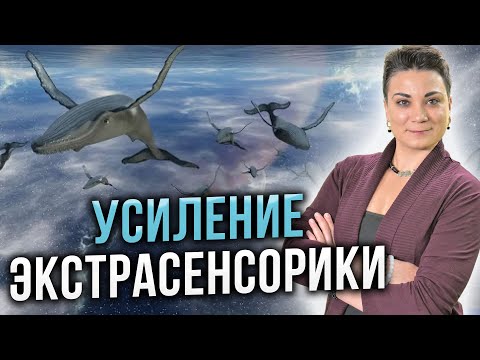 Видео: Вы можете видеть осознанные СНЫ! Камень, который даёт ответы на вопросы…