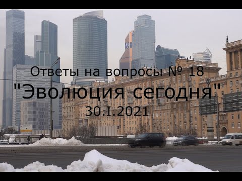 Видео: С.В. Савельев - Эволюция сегодня