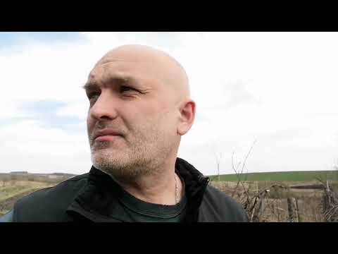 Видео: Взаимоотношения местных и приезжих, как это примерно выглядит.)