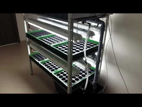 Видео: МНОГОЯРУСНАЯ ГИДРОПОННАЯ УСТАНОВКА С СИСТЕМОЙ ПОДТОПЛЕНИЯ И ОСВЕЩЕНИЯ МГУ-3