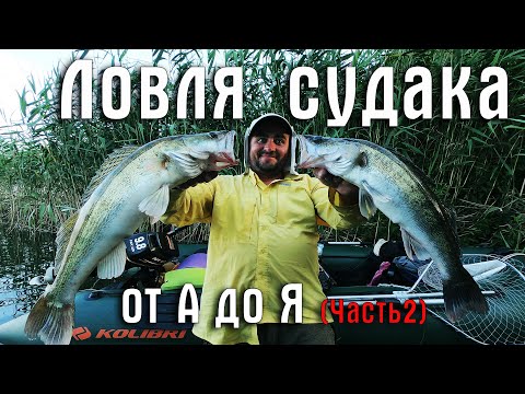 Видео: БЕШЕНЫЙ КЛЁВ СУДАКА В ИЮНЕ. КАК ПОЙМАТЬ И ГДЕ ИСКАТЬ СУДАКА ЛЕТОМ. ЛОВЛЯ СУДАКА от А до Я (часть 2)