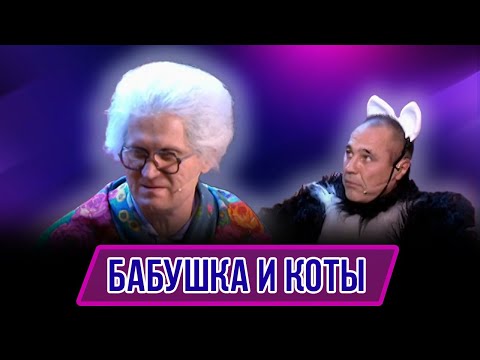 Видео: Номер Бабушка и Коты - Концерт Грачи пролетели