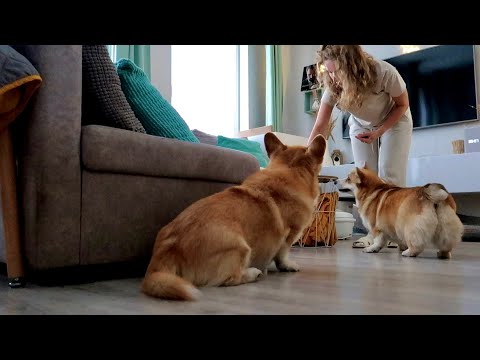 Видео: Недельный отчет! Нас можно  поздравить 🙂 Уборка с папой 🧹VLOG