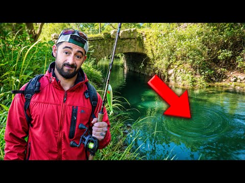 Видео: Скрытые реки... Говорят, здесь обитает большая рыба?