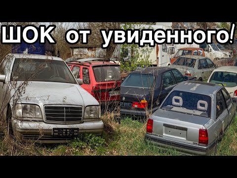 Видео: НАШЁЛ сотни БРОШЕННЫХ авто 80-х и 90-х. РЕДКИЕ Мерседесы - Заброшенная Прибалтика.
