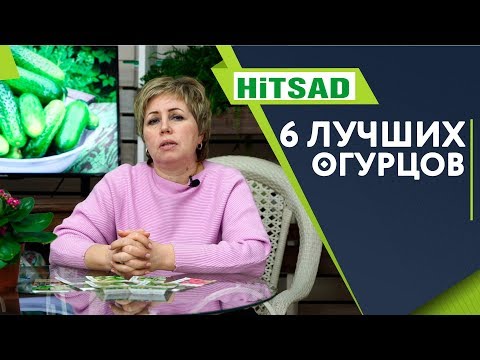 Видео: ТОП 6 Лучших Огурцов 🥒 Для открытого Грунта 🥒 ПЧЕЛООПЫЛЯЕМЫЕ СОРТА ОГУРЦОВ 🐝