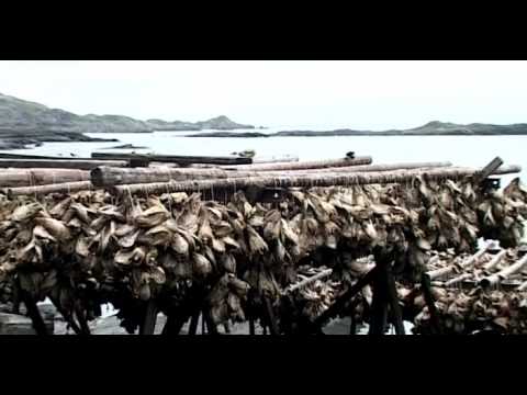 Видео: Непутевые заметки. Норвегия. Лофотенские оcт-ва 19.09.2010