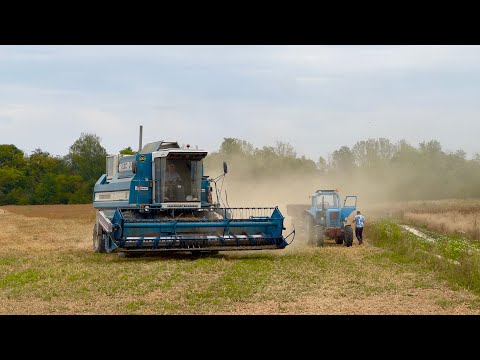 Видео: Молотим сою/КЗС-9•1 « Славутич» і МТЗ-82