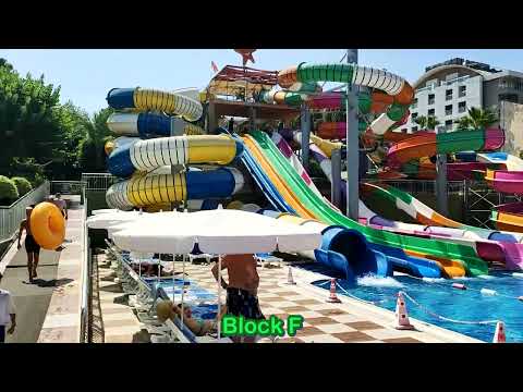 Видео: Lonicera World 2024 Итоги Часть 1 Июль Заселение Корпуса Уборка