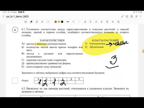 Видео: ВПР 7класс, 2024 год !!