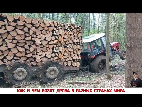 Видео: КАК И ЧЕМ ВОЗЯТ ДРОВА В РАЗНЫХ СТРАНАХ МИРА / TRANSPORTATION OF FIREWOOD IN DIFFERENT COUNTRIES