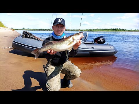 Видео: РЫБАЦКОЕ СЧАСТЬЕ: 3 Дня на пляже, Костер, Фидер, Щука-Судак-Окунь! Часть 2