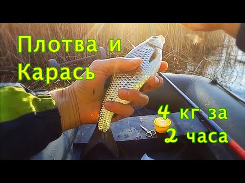 Видео: Крупная Плотва и Карась на поплавок I 4 кг за 2 часа !