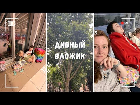 Видео: цветы с помойки / vlog