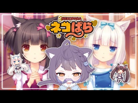 Видео: [NEKOPARA Extra] Прохождение