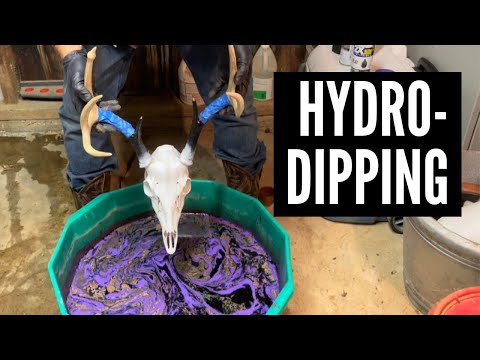 Видео: КАК ПОКРАСИТЬ ЧЕРЕП ОЛЕНЯ КРАСКОЙ ИЗ АЭРОЗОЛЬНОГО СПРЕЙ || Гидропокраска черепа оленя